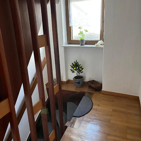 Schouhfranzen 펜션