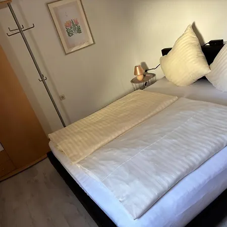 펜션 Schouhfranzen *