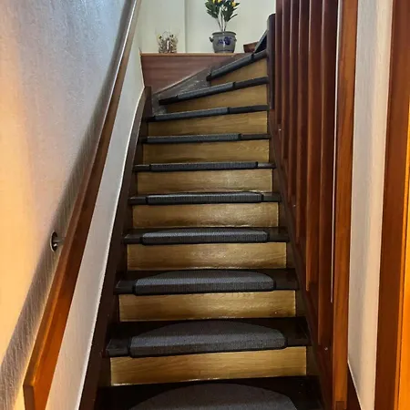 펜션 Schouhfranzen *