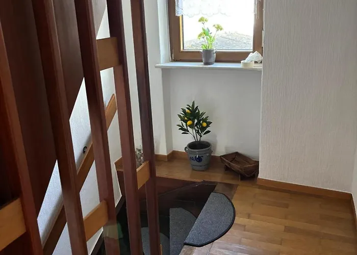 Schouhfranzen 펜션