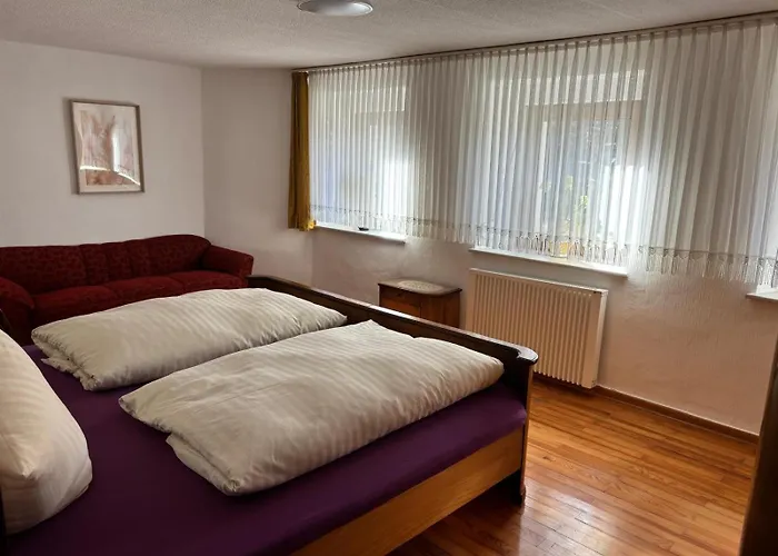 펜션 Schouhfranzen